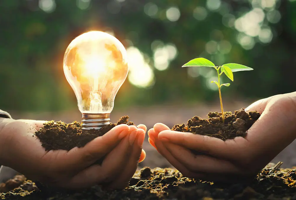 Panorama atual: energias renováveis