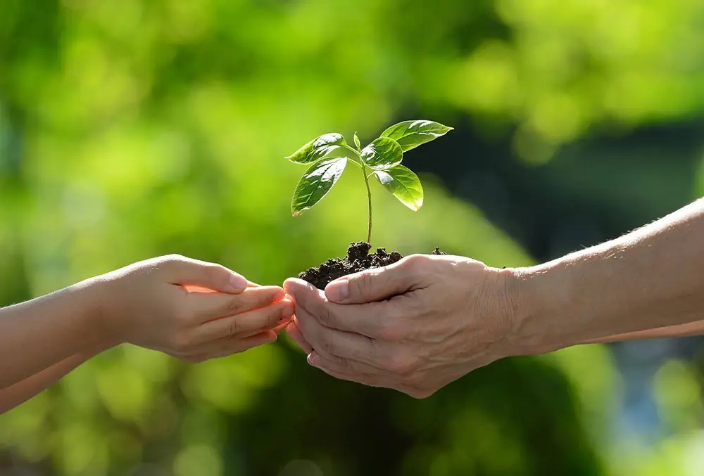 Política Verde – Especialista dá dicas sobre como investir no mercado de Carbono