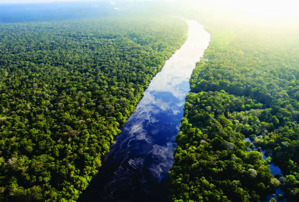 O que significa ser “carbono neutro”?