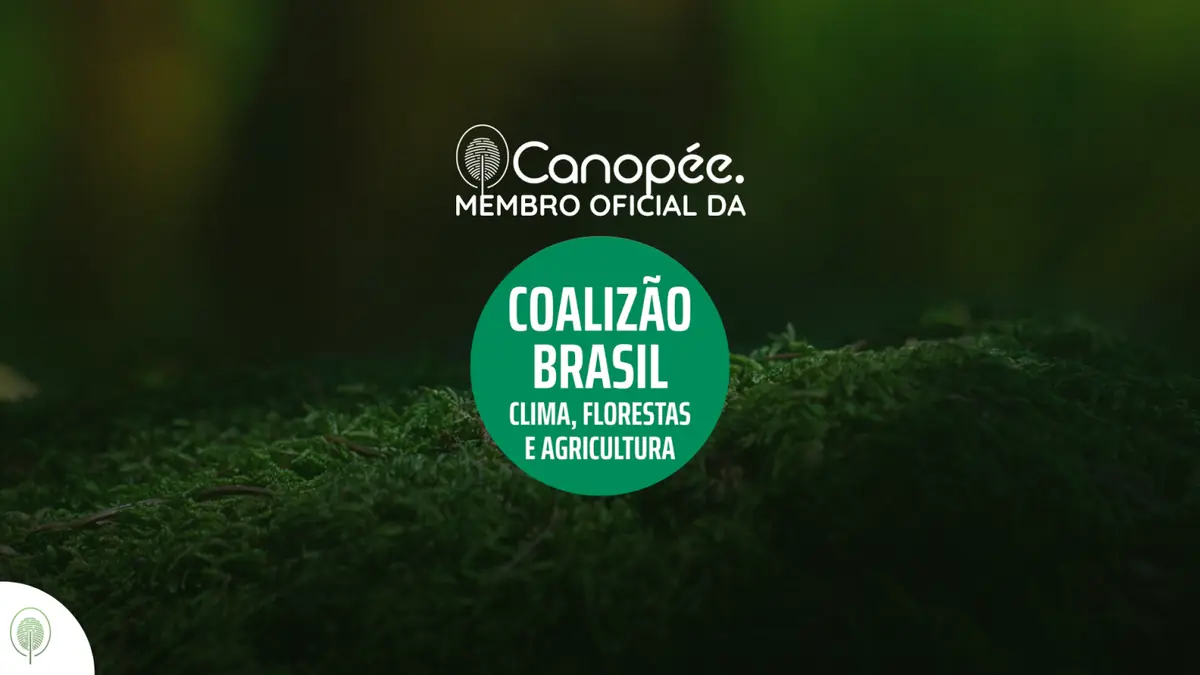 Juntas pelo planeta: Canopée e Coalizão Brasil Clima, Florestas e Agricultura unem forças pela sustentabilidade