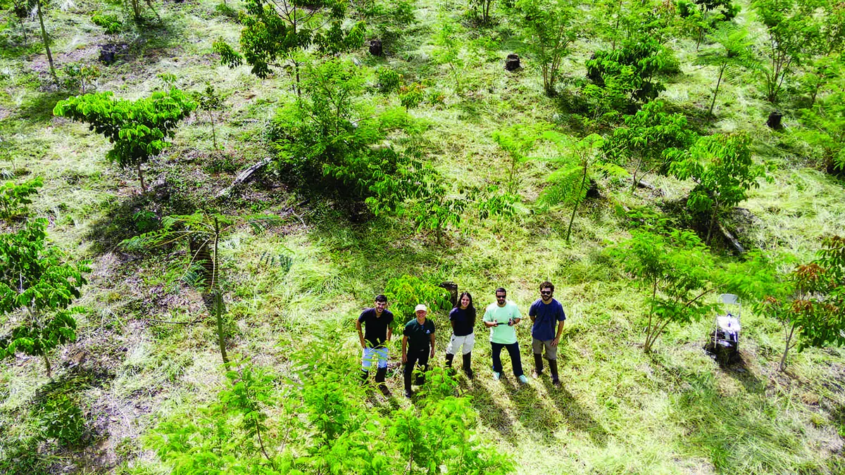 Plantio Canopée – Como transformamos a Sustentabilidade em nossa Empresa