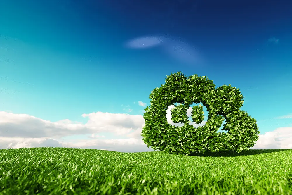 Notícia sobre o Mercado de Carbono