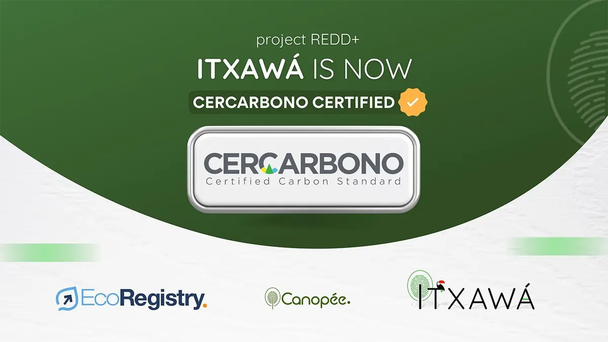 Projeto Itxawá: O Primeiro REDD+ Certificado pela Cercarbono em Terras Privadas no Brasil