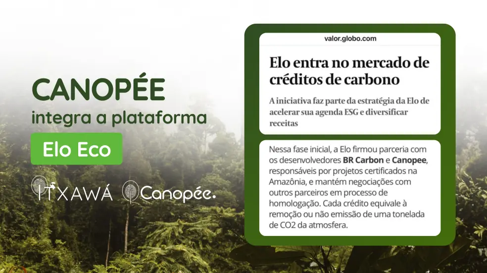 Elo Eco seleciona Projeto REDD+ Itxawá.