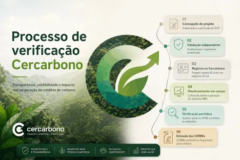 Como os créditos de carbono são verificados: padrões, adicionalidade e riscos