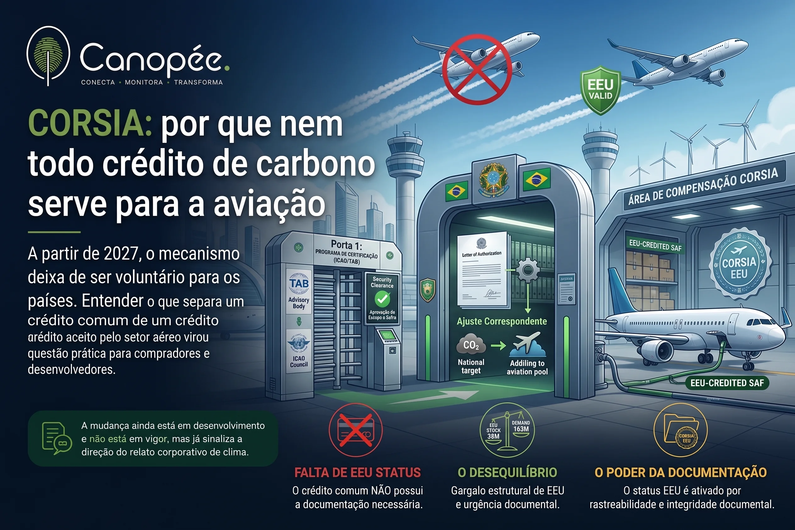 CORSIA: por que nem todo crédito de carbono serve para a aviação