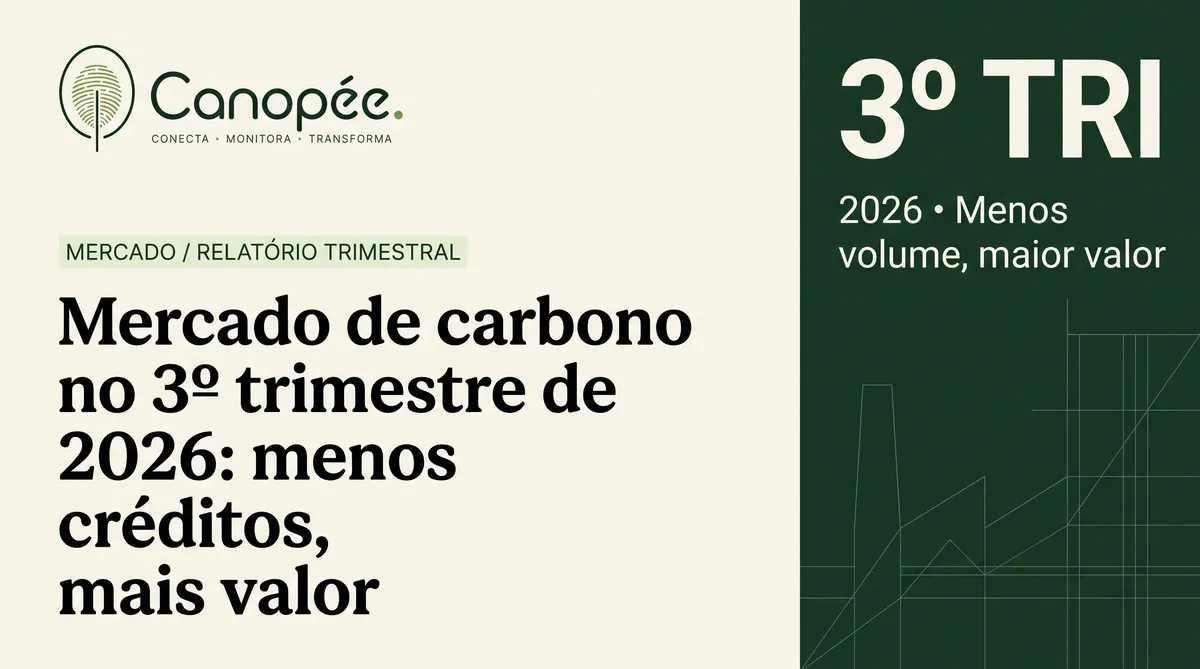 Mercado de carbono no 3º trimestre de 2026: menos créditos, mais valor