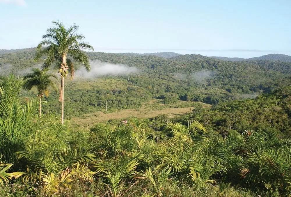 Programa Ouro Verde Bahia: um exemplo de equilíbrio entre sustentabilidade ambiental, pesquisa científica, desenvolvimento social e crescimento econômico