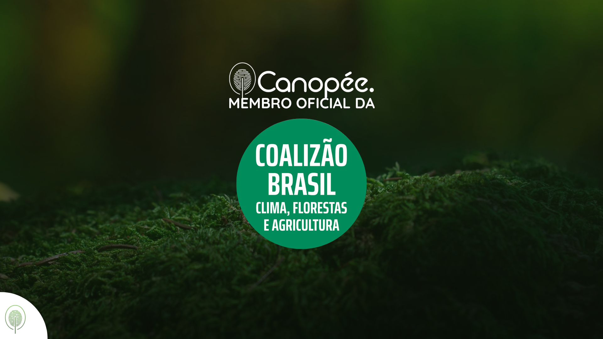 Agenda da Coalizão na COP 26 - Coalizão Brasil Clima, Florestas e